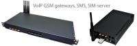 SIM-server “human emulation” feature: Internet-surfing via GPRS/3G